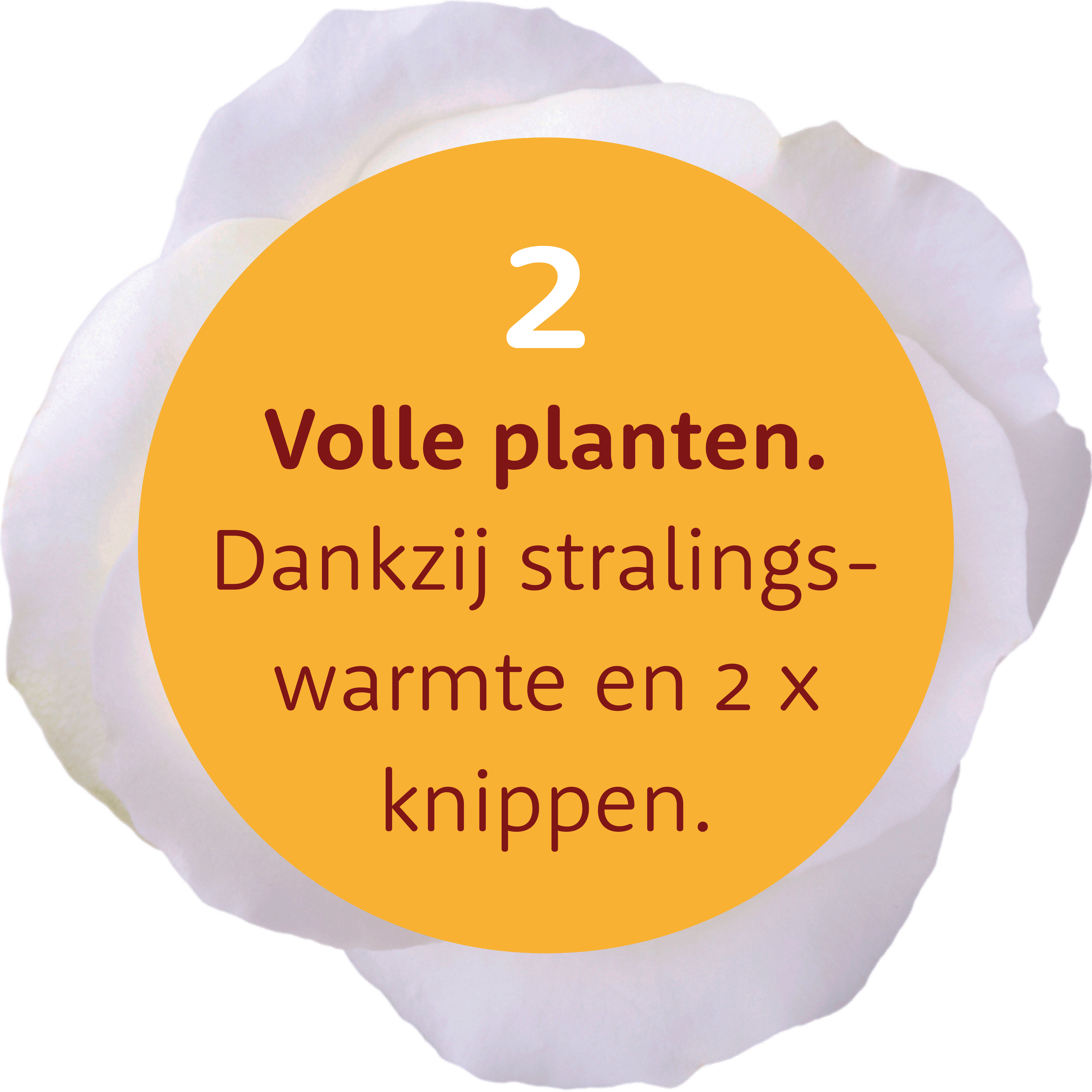 Volle planten