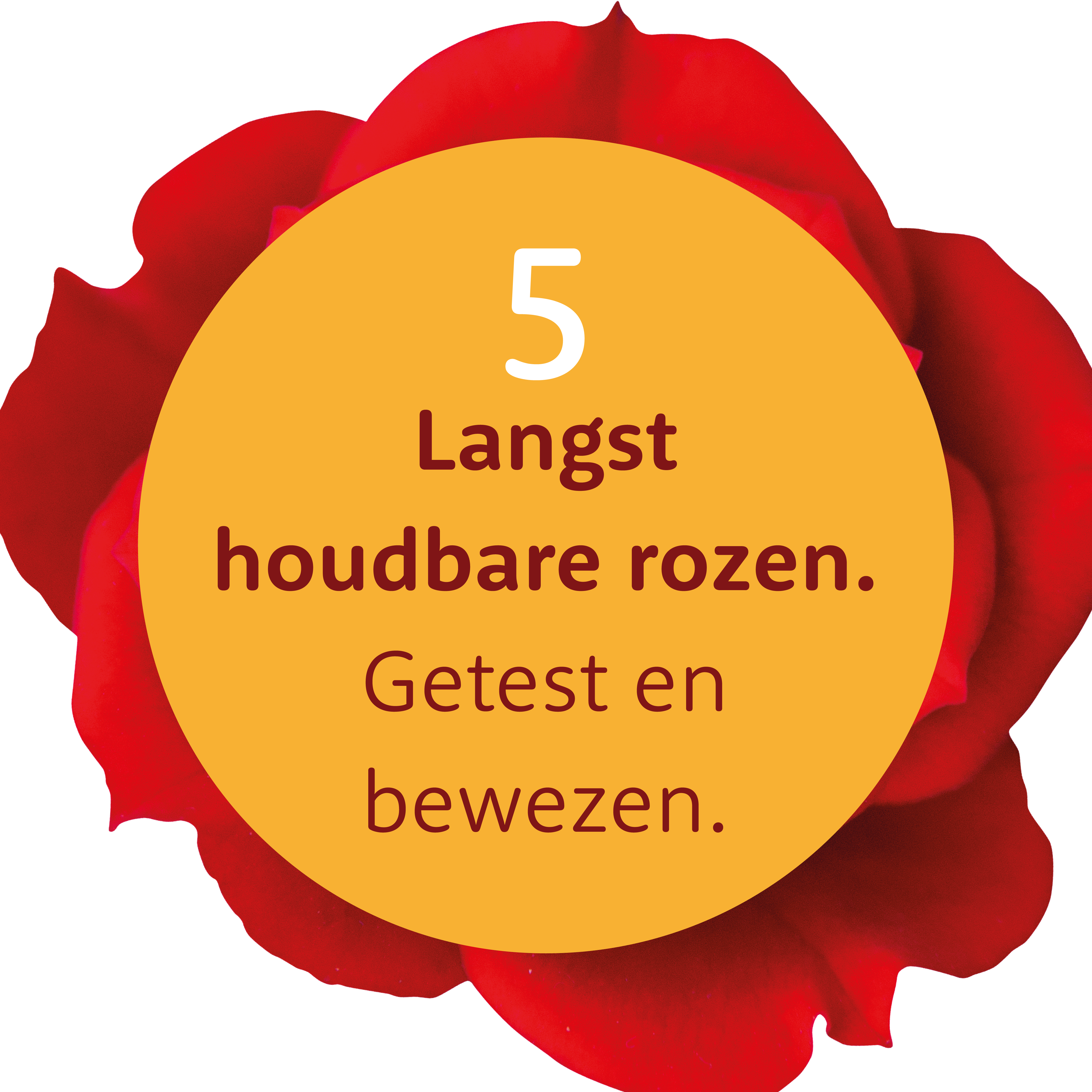 Langdurige relaties